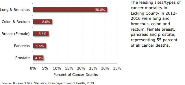 Cancer Death Percentages by type graph