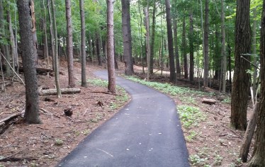 Trail to Health image
