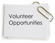 Volunteer Opportunities image